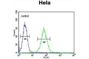 SMYD1 Antibody (C-term) flow cytometric analysis of Hela cells (right histogram) compared to a negative control cell (left histogram). (SMYD1 anticorps  (C-Term))