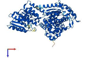 AlphaFold protein structure predicition of Mouse Recombinant Ehhadh Protein, UniprotID Q9DBM2