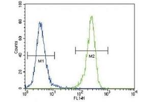 DDR1 antibody flow cytometric analysis of 293 cells (right histogram) (DDR1 anticorps  (AA 299-330))