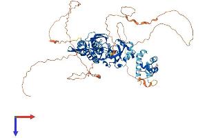 AlphaFold protein structure predicition of Human Recombinant SCML2 Protein, UniprotID Q9UQR0