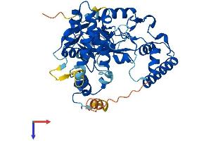 AlphaFold protein structure predicition of Mouse Recombinant Smyd5 Protein, UniprotID Q3TYX3
