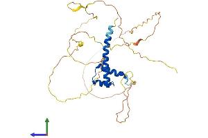 AlphaFold protein structure predicition of Mouse Recombinant Hoxd10 Protein, UniprotID P28359