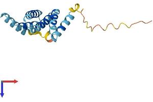 AlphaFold protein structure predicition of Human Recombinant FIS1 Protein, UniprotID Q9Y3D6