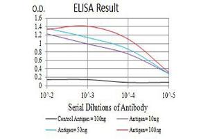 Black line: Control Antigen (100 ng),Purple line: Antigen (10 ng), Blue line: Antigen (50 ng), Red line:Antigen (100 ng) (CD3G anticorps  (AA 23-116))