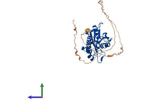AlphaFold protein structure predicition of Mouse Recombinant Eri3 Protein, UniprotID Q8C460