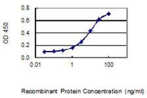 Detection limit for recombinant GST tagged IQCF1 is 0. (IQCF1 anticorps  (AA 1-205))