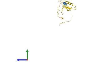 AlphaFold protein structure predicition of Human Recombinant NSG2 Protein, UniprotID Q9Y328
