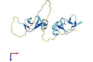 AlphaFold protein structure predicition of Human Recombinant CRIP2 Protein, UniprotID P52943