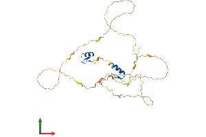 AlphaFold protein structure predicition of Human Recombinant ZNF488 Protein, UniprotID Q96MN9