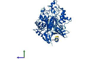 AlphaFold protein structure predicition of Mouse Recombinant Elp3 Protein, UniprotID Q9CZX0