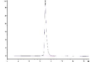 The purity of Human VCAM-1 is greater than 95 % as determined by SEC-HPLC.