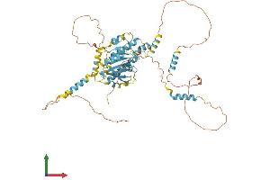 AlphaFold protein structure predicition of Mouse Recombinant Dync1li1 Protein, UniprotID Q8R1Q8