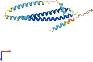 AlphaFold protein structure predicition of Human Recombinant CHMP2A Protein, UniprotID O43633