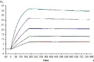 Human IL-10R alpha, His Tag immobilized on CM5 Chip can bind Human IL-10, His Tag with an affinity constant of 0.