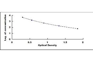 D-Dimer ELISA Kit