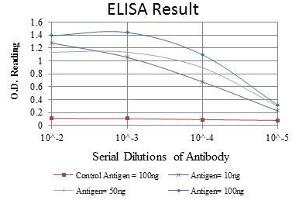 anti-BH3 Interacting Domain Death Agonist (BID) antibody