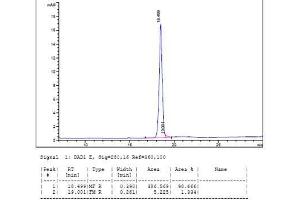 Image no. 1 for Erythropoietin (EPO) (AA 28-193) (Active) protein (ABIN987828)