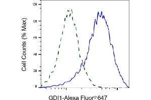 Flow cytometric analysis of GDI1 expression in HAP-1 cells using GDI1 antibody (ABIN7798700), 1:2,000). (GDI1 anticorps)