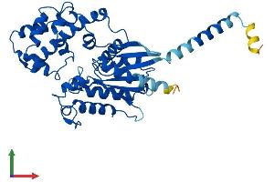 AlphaFold protein structure predicition of Human Recombinant GNAQ Protein, UniprotID P50148