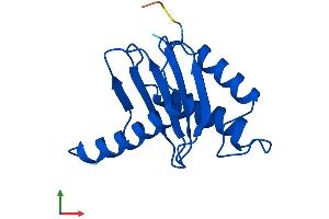 AlphaFold protein structure predicition of Mouse Recombinant Trappc1 Protein, UniprotID Q5NCF2