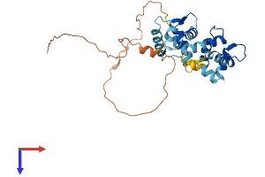 AlphaFold protein structure predicition of Mouse Recombinant Kcnip2 Protein, UniprotID Q9JJ69
