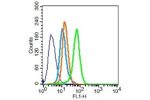 Hela cells probed with MDR1 Polyclonal Antibody, Unconjugated  for 30 minutes followed by incubation with a conjugated secondary (FITC) (green) for 30 minutes compared to control cells (blue), secondary only (light blue) and isotype control (orange).