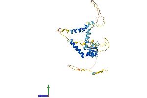 AlphaFold protein structure predicition of Human Recombinant ZMAT3 Protein, UniprotID Q9HA38