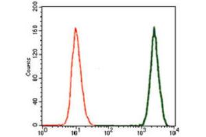 Flow Cytometry (FACS) image for anti-Doublecortin (DCX) (AA 362-411) antibody (ABIN1844030)