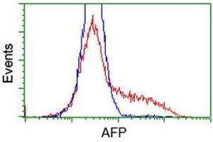 HEK293T cells transfected with either RC206622 overexpress plasmid (Red) or empty vector control plasmid (Blue) were immunostained by anti-AFP antibody (ABIN2452710), and then analyzed by flow cytometry. (alpha Fetoprotein anticorps)