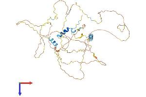 AlphaFold protein structure predicition of Mouse Recombinant Gpbp1 Protein, UniprotID Q6NXH3