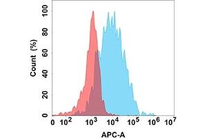 Flow cytometry analysis with Anti-CD45 (DM193) on Expi293 cells transfected with human CD45 (Blue histogram) or Expi293 transfected with irrelevant protein (Red histogram).