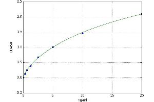A typical standard curve (MMP13 Kit ELISA)