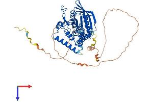 AlphaFold protein structure predicition of Human Recombinant PTPN18 Protein, UniprotID Q99952