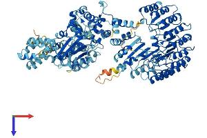 AlphaFold protein structure predicition of Mouse Recombinant Nlrp9b Protein, UniprotID Q66X22