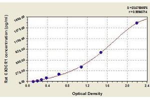 Typical standard curve (CX3CR1 Kit ELISA)