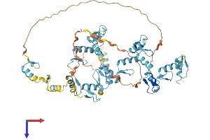 AlphaFold protein structure predicition of Human Recombinant REPIN1 Protein, UniprotID Q9BWE0