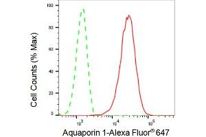 Flow cytometric analysis of Aquaporin 1 expression in C2C12 cells using Aquaporin 1 antibody (ABIN7797637), 1:2,000).