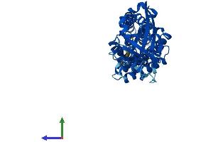 AlphaFold protein structure predicition of Mouse Recombinant Ttc5 Protein, UniprotID Q99LG4