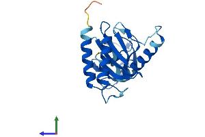 AlphaFold protein structure predicition of Human Recombinant TRAPPC4 Protein, UniprotID Q9Y296