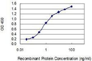 Detection limit for recombinant GST tagged F2 is 0. (Prothrombin anticorps  (AA 263-362))