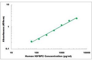 Representative Standard Curve (IGFBP2 Kit ELISA)