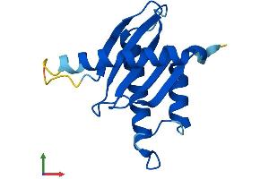 AlphaFold protein structure predicition of Human Recombinant TRAPPC2L Protein, UniprotID Q9UL33 (TRAPPC2L Protein (AA 1-140) (His tag))