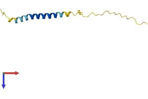 AlphaFold protein structure predicition of Mouse Recombinant Adig Protein, UniprotID Q8R400