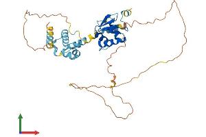 AlphaFold protein structure predicition of Human Recombinant ELF3 Protein, UniprotID P78545