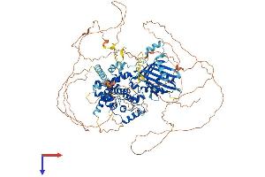 AlphaFold protein structure predicition of Human Recombinant STARD8 Protein, UniprotID Q92502