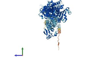 AlphaFold protein structure predicition of Human Recombinant ATP1A3 Protein, UniprotID P13637