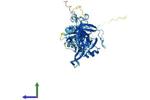 AlphaFold protein structure predicition of Mouse Recombinant Nmd3 Protein, UniprotID Q99L48
