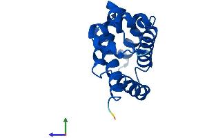 AlphaFold protein structure predicition of Mouse Recombinant Ngb Protein, UniprotID Q9ER97