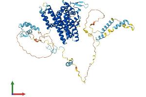 AlphaFold protein structure predicition of Human Recombinant ASCC2 Protein, UniprotID Q9H1I8