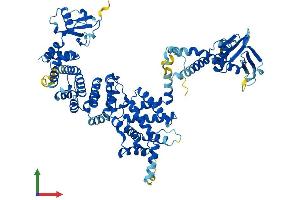 AlphaFold protein structure predicition of Mouse Recombinant Elmo1 Protein, UniprotID Q8BPU7